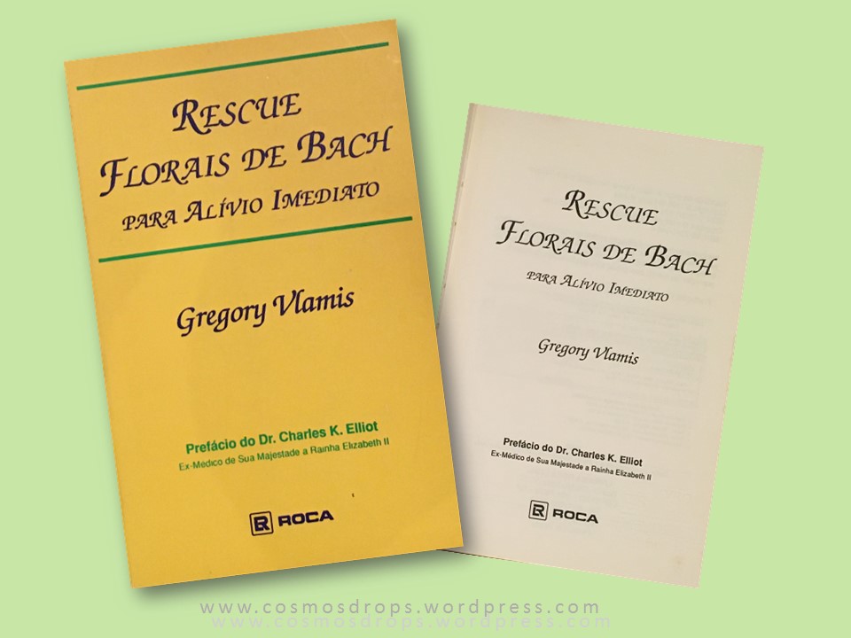Gregory Vlamis &amp; Bobbie livro Rescue